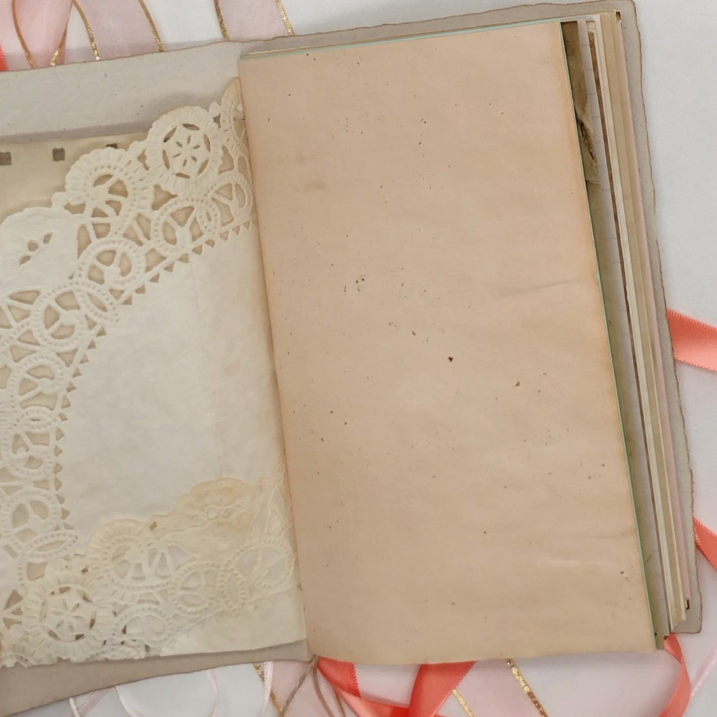 Beige Cover Naked Single Signature Junk Journal