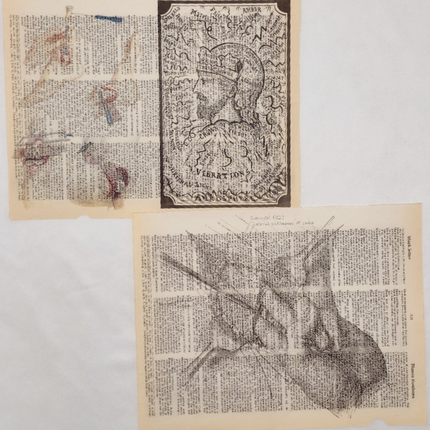 Anatomy Dictionary Prints 3, Anatomy Prints, Book Page Prints