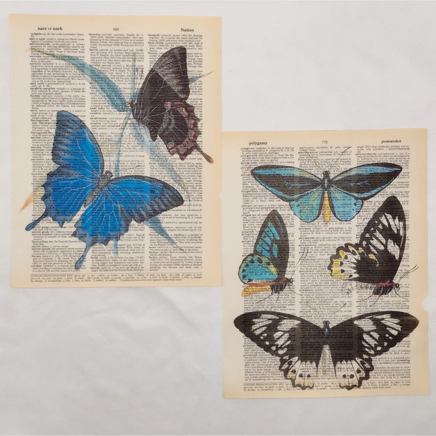 Butterfly Dictionary Prints 2, Colorful Butterfly Prints, Book Page Prints