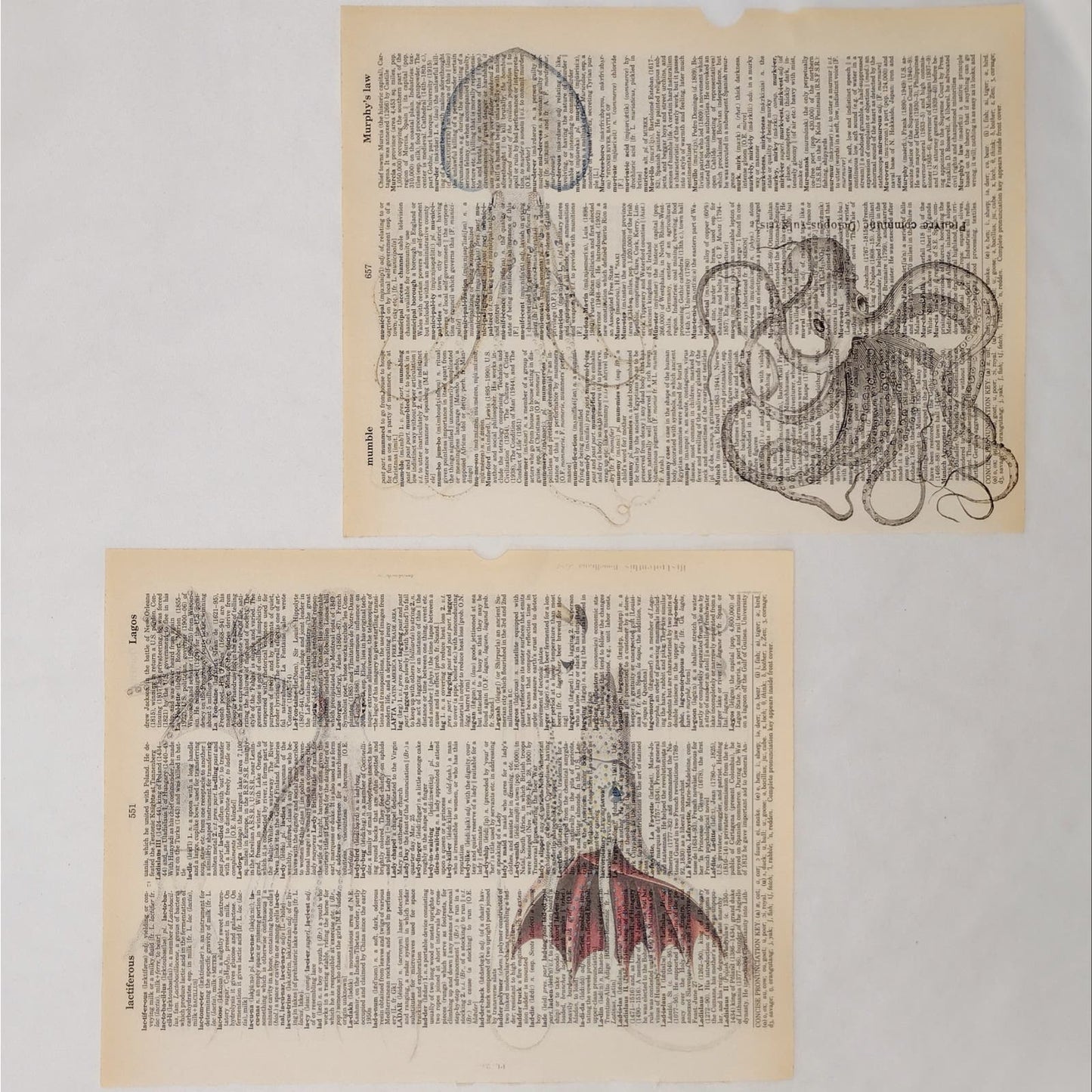 Sea Animal Dictionary Prints, Colorful Ocean Prints, Book Page Prints