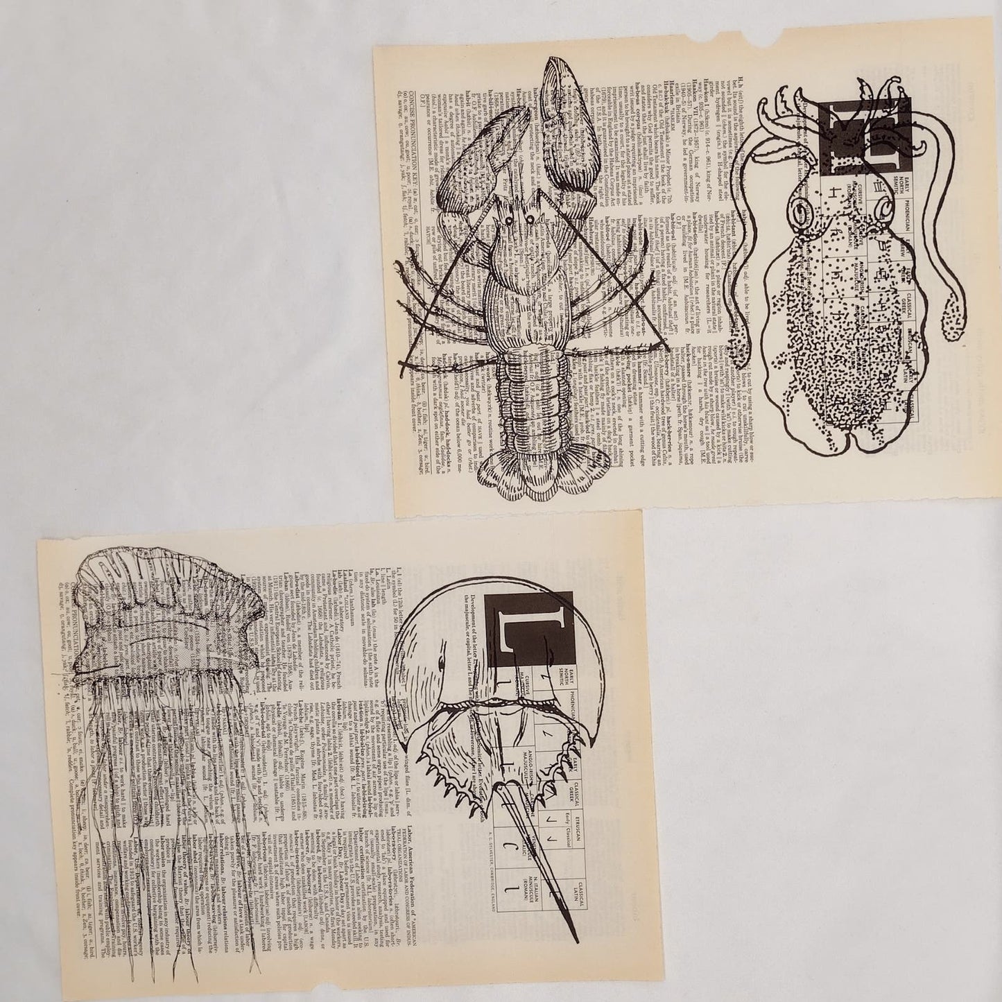 Sea Themed Dictionary Prints, Black and White Sea Prints, Book Page Prints