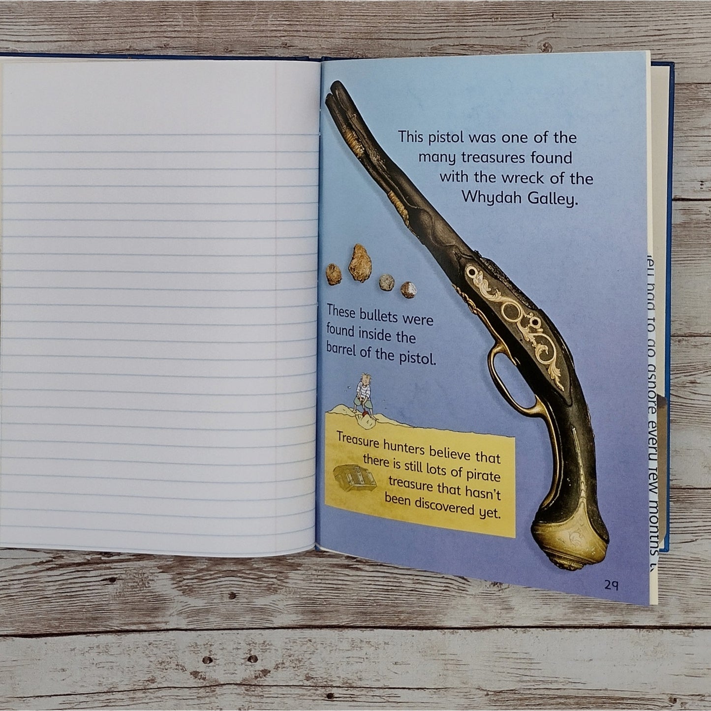 Pirates Rebound Book Journal, Repurposed Children's Book, Upcycled Notebook