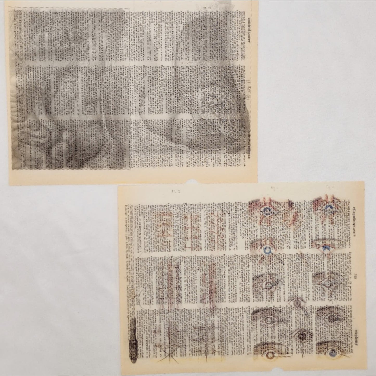 Anatomy Dictionary Prints 3, Anatomy Prints, Book Page Prints