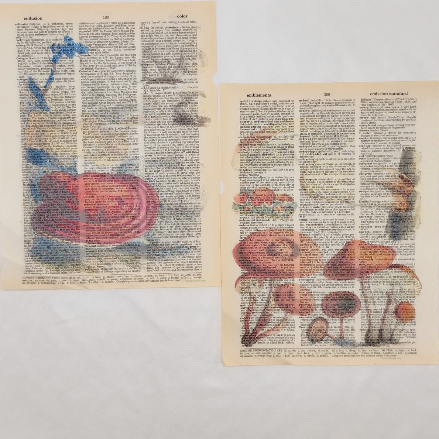 Mushroom Dictionary Prints 2, Colorful Mushroom Prints, Book Page Prints