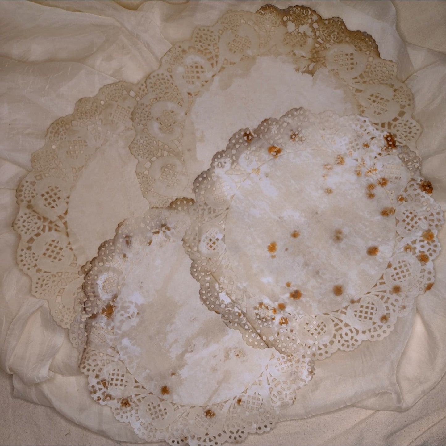 10 Grungy Coffee Stained Paper Doilies