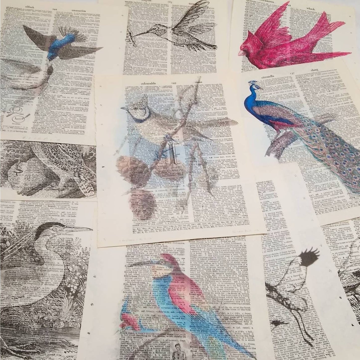 Bird Vintage Dictionary Prints, Colorful Bird Prints, Book Page Prints
