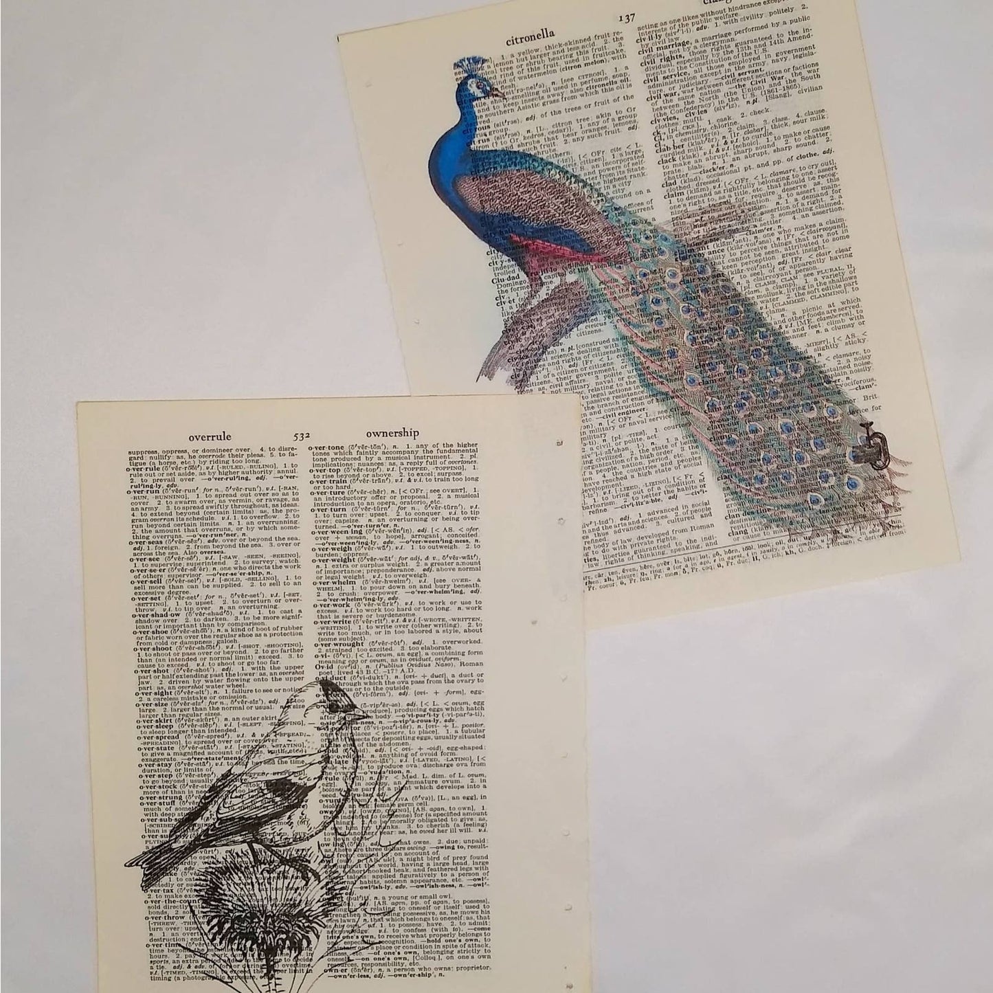 Bird Vintage Dictionary Prints, Colorful Bird Prints, Book Page Prints