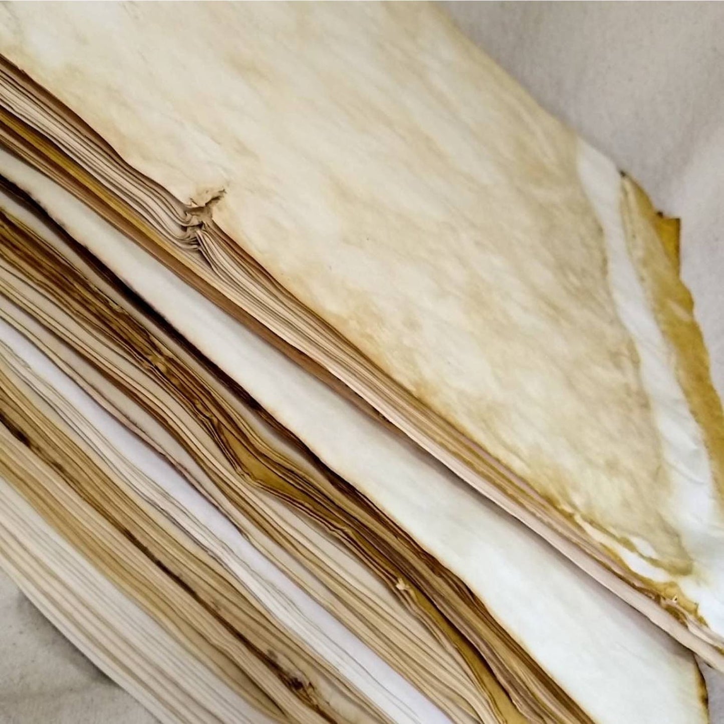 20 Tea Dyed 8.5"x14" Papers, Hand Dyed Papers, Junk Journal Supply