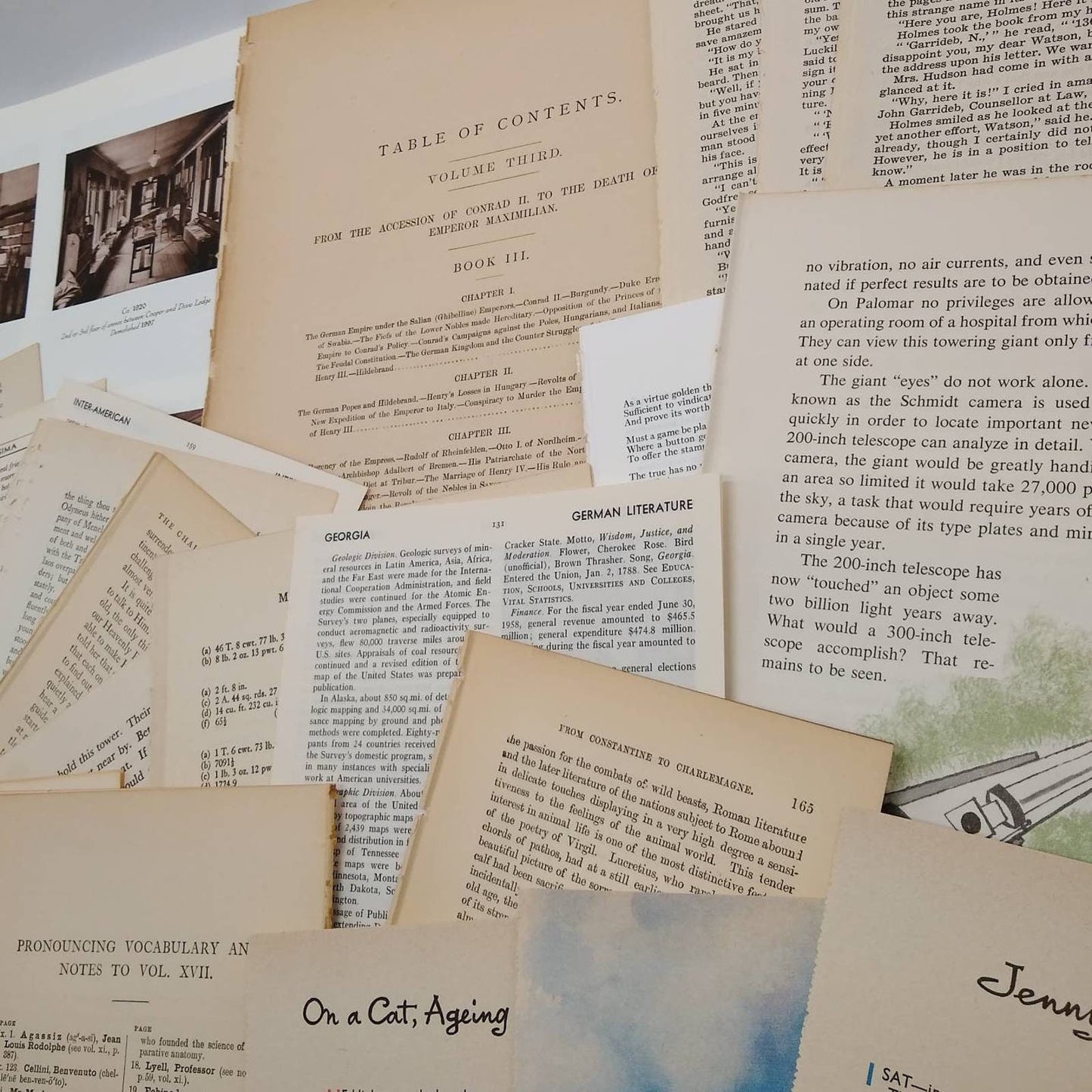 Very Vintage Book Pages, Old Book Page Bundle, Assorted Book Pages, Junk Journal Supply, Collage Pages, Journal Ephemera
