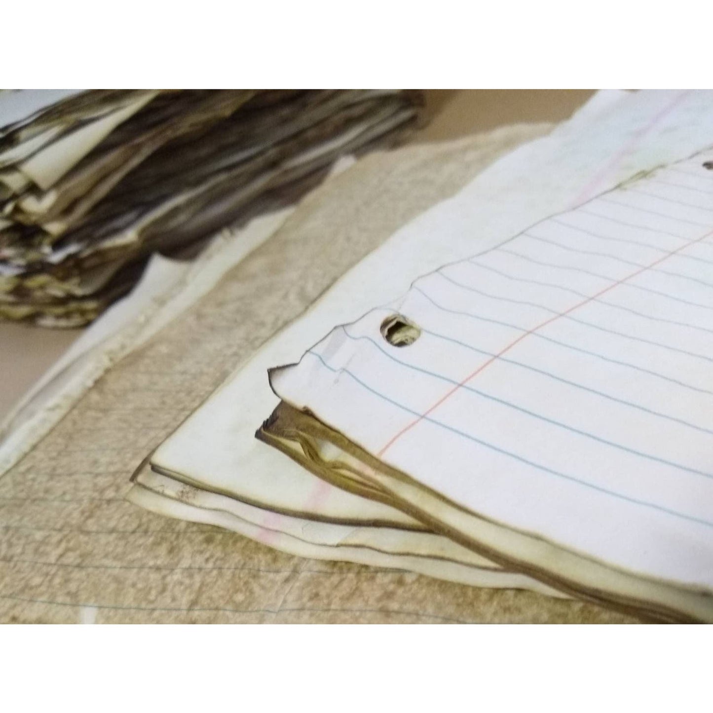 100 Coffee Dyed Notebook Papers, Hand Dyed Papers, Junk Journal Supply