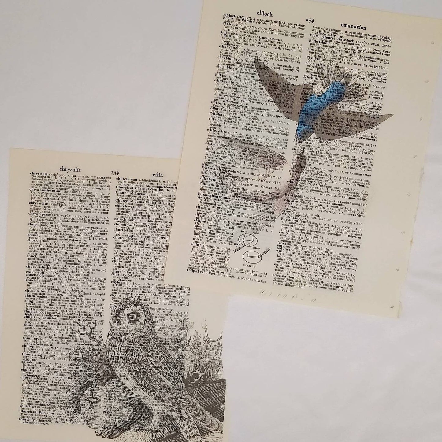 Bird Vintage Dictionary Prints, Colorful Bird Prints, Book Page Prints