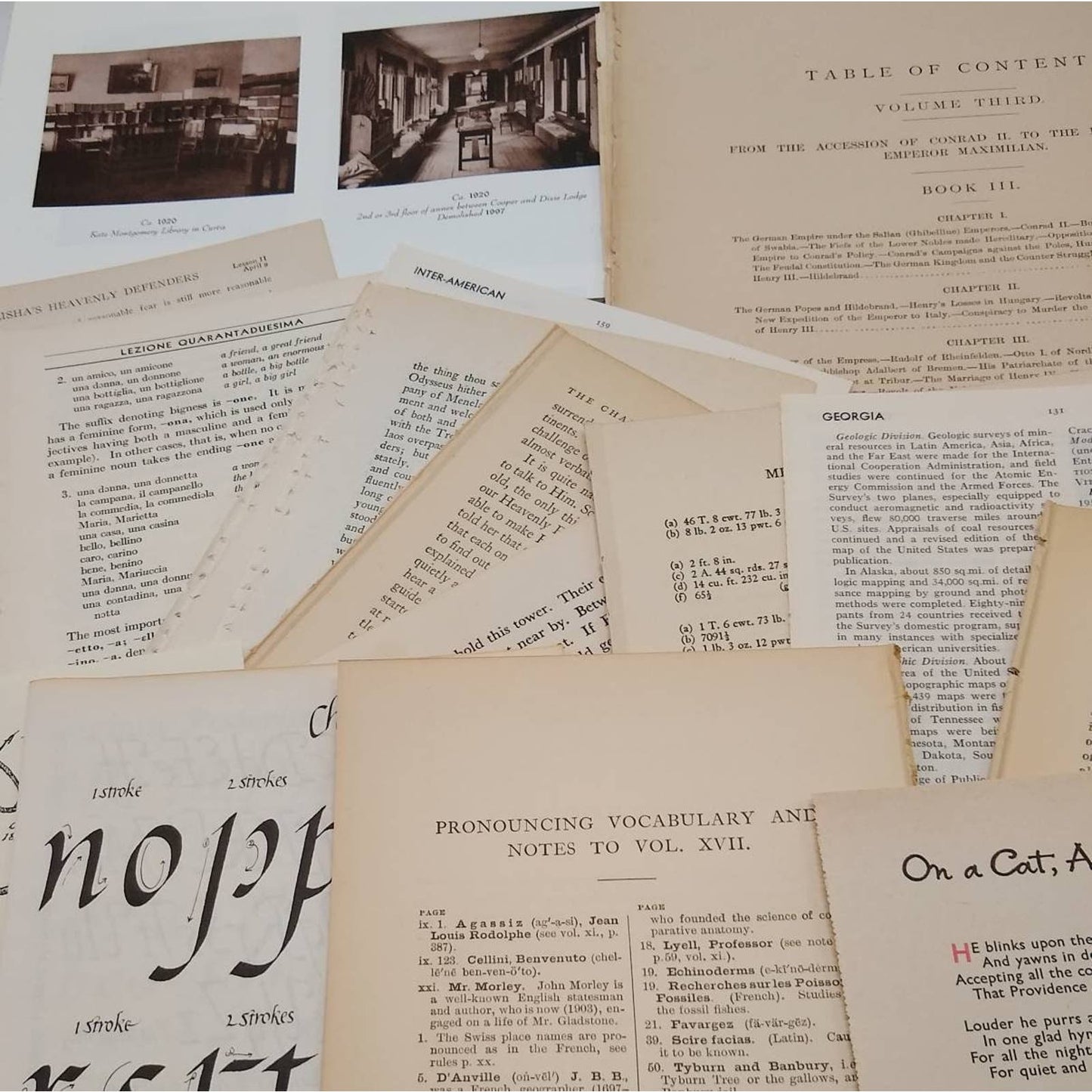 Very Vintage Book Pages, Old Book Page Bundle, Assorted Book Pages, Junk Journal Supply, Collage Pages, Journal Ephemera