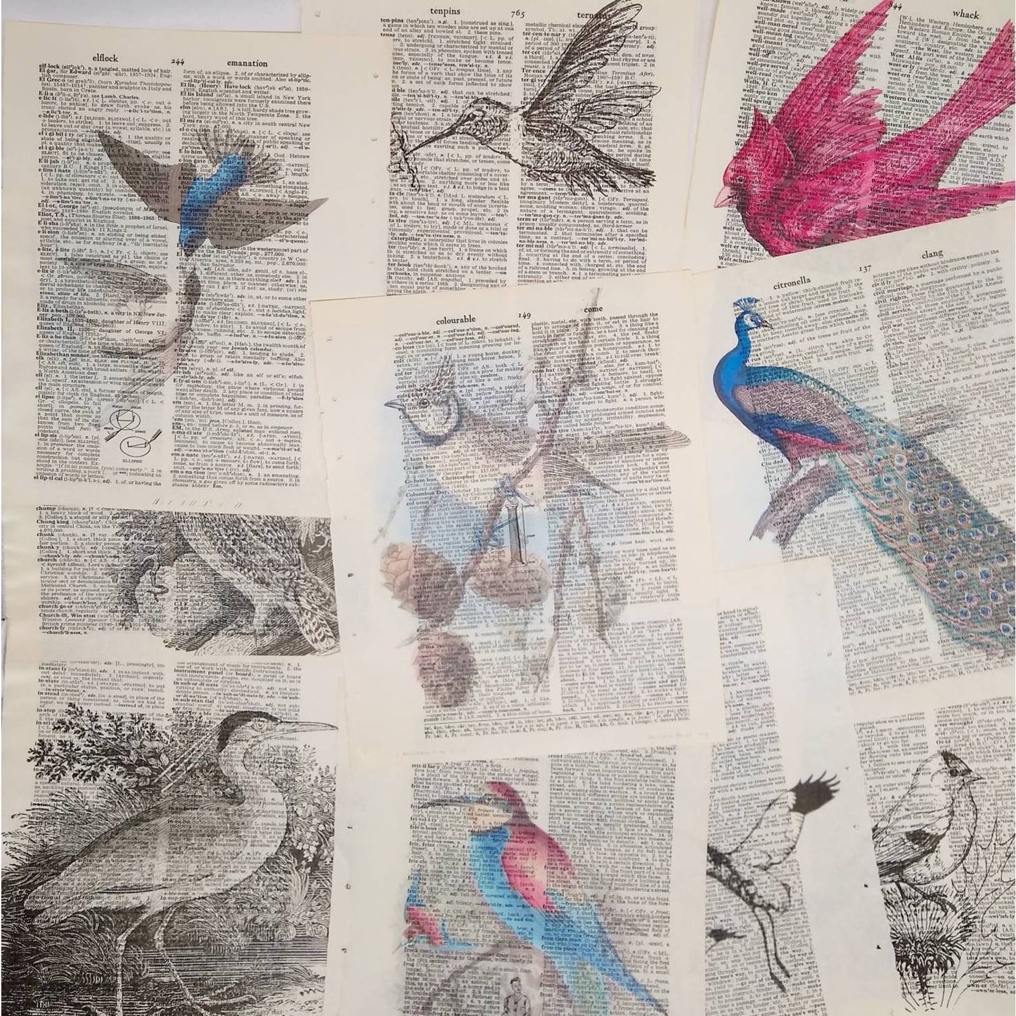 Bird Vintage Dictionary Prints, Colorful Bird Prints, Book Page Prints