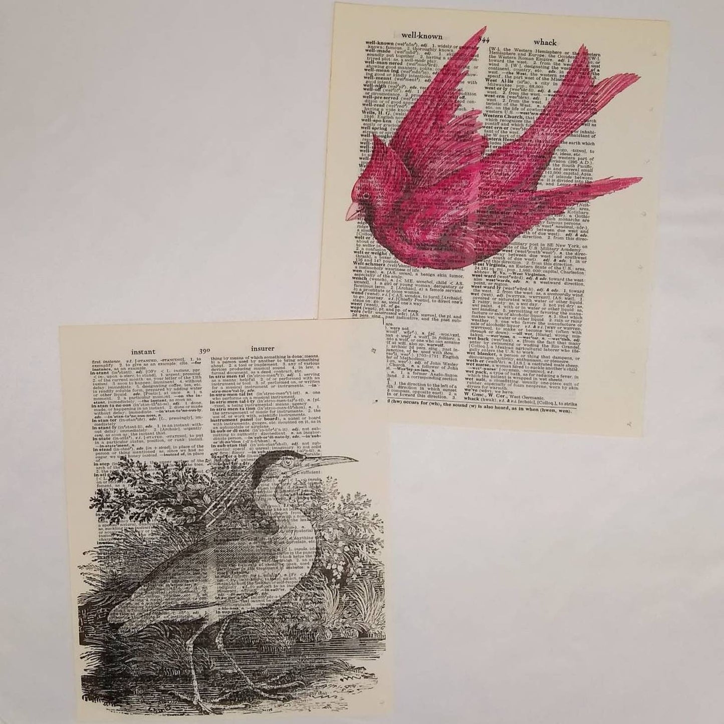 Bird Vintage Dictionary Prints, Colorful Bird Prints, Book Page Prints