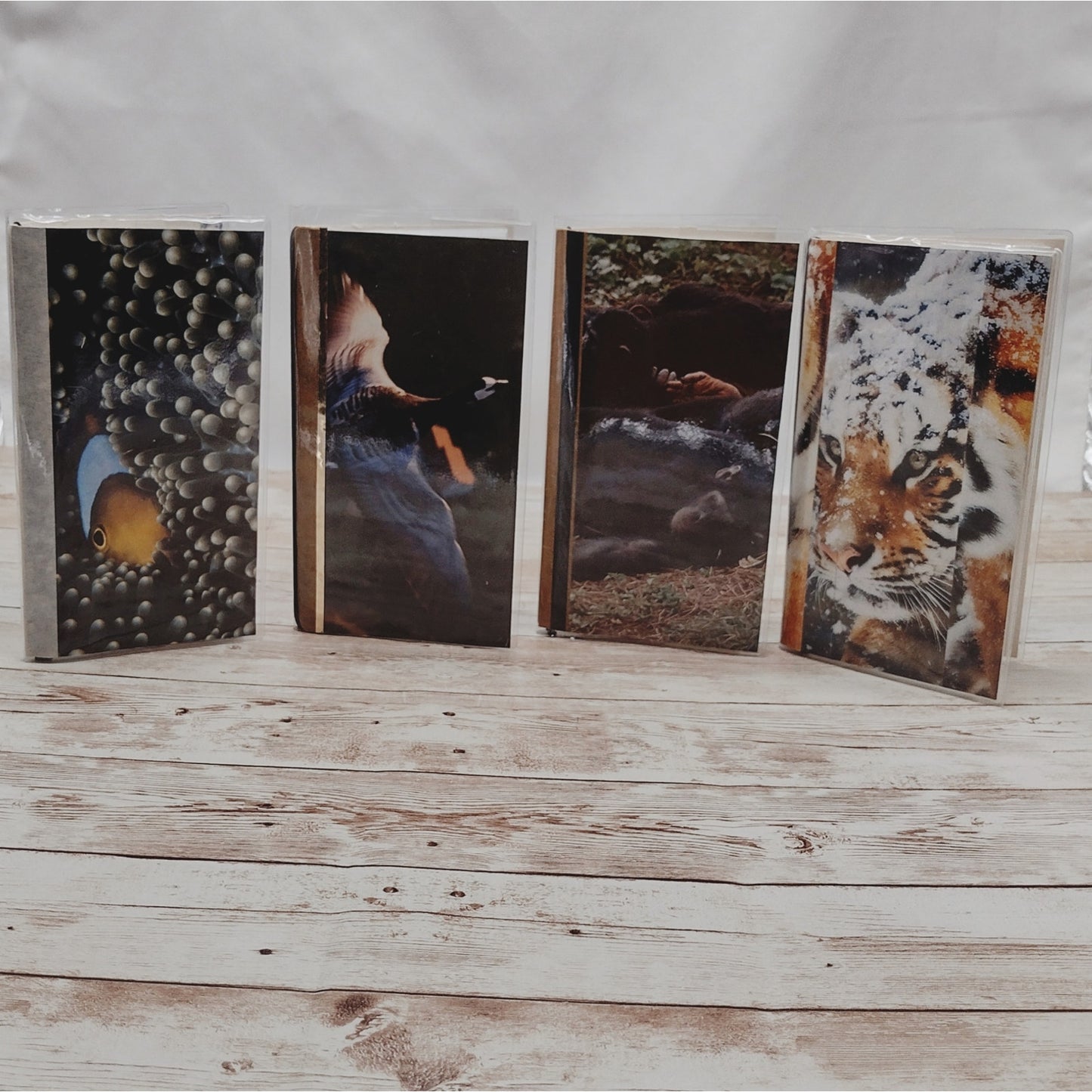 Animal Themed Small Travel Journals with Slip Covers, Handmade Small Notebook