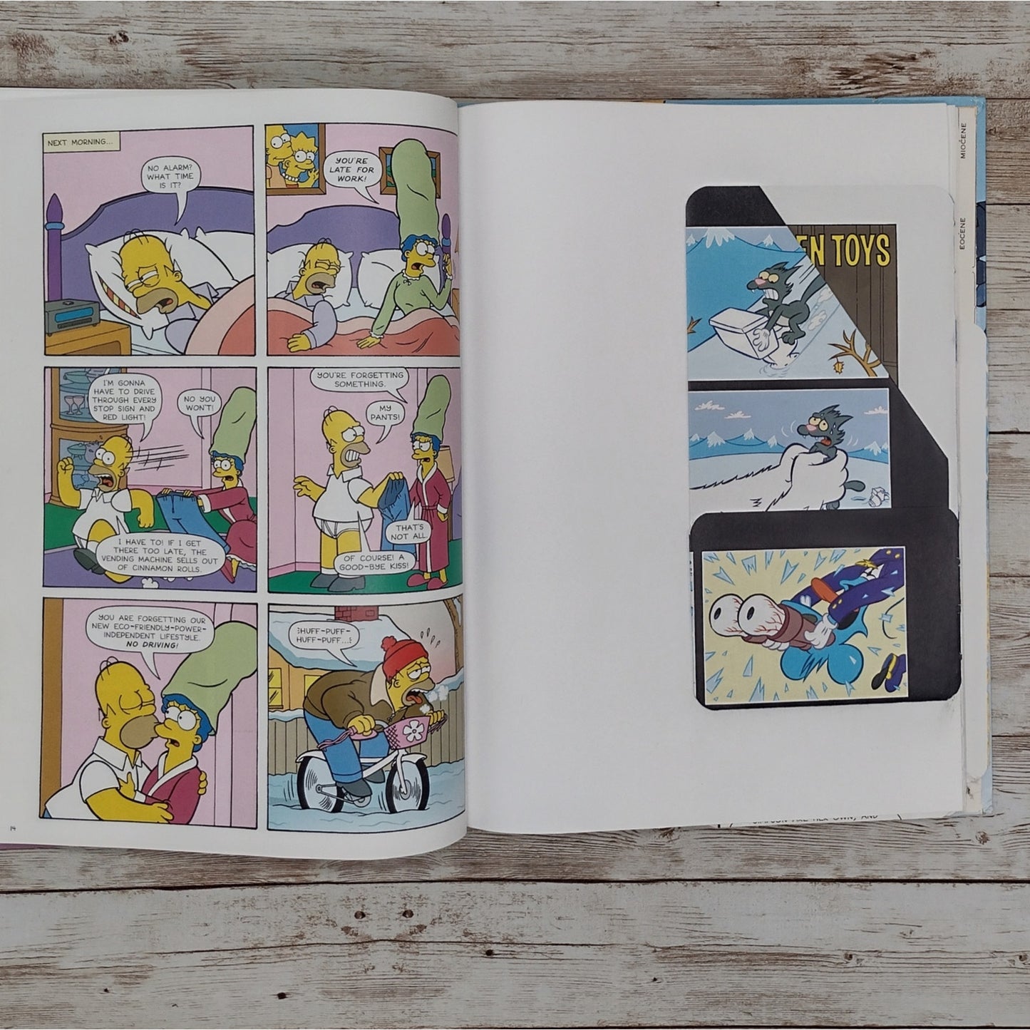 The Simpsons Altered Book Journal, Recycled Diary