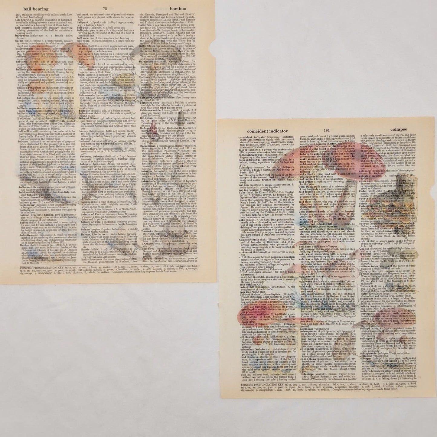 Mushroom Dictionary Prints 3, Colorful Mushroom Prints, Book Page Prints