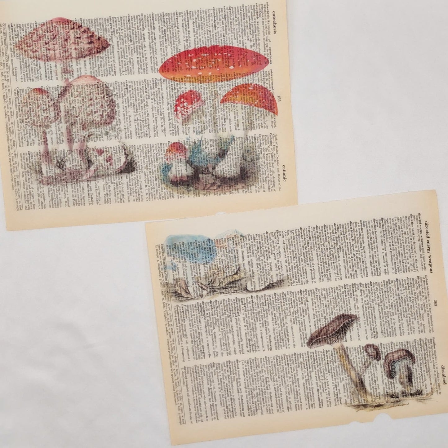 Mushroom Dictionary Prints 4, Colorful Mushroom Prints, Book Page Prints