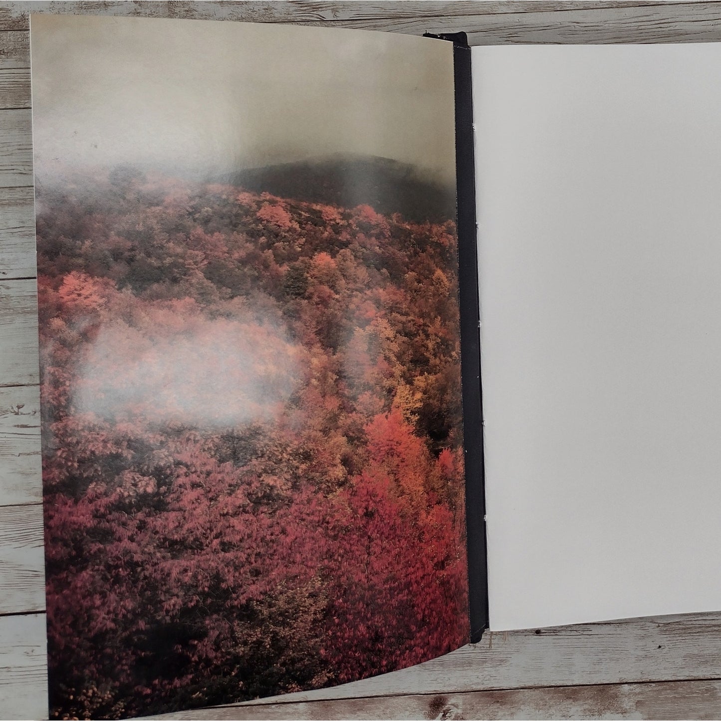 Book Journal: North Carolina Images of Wilderness