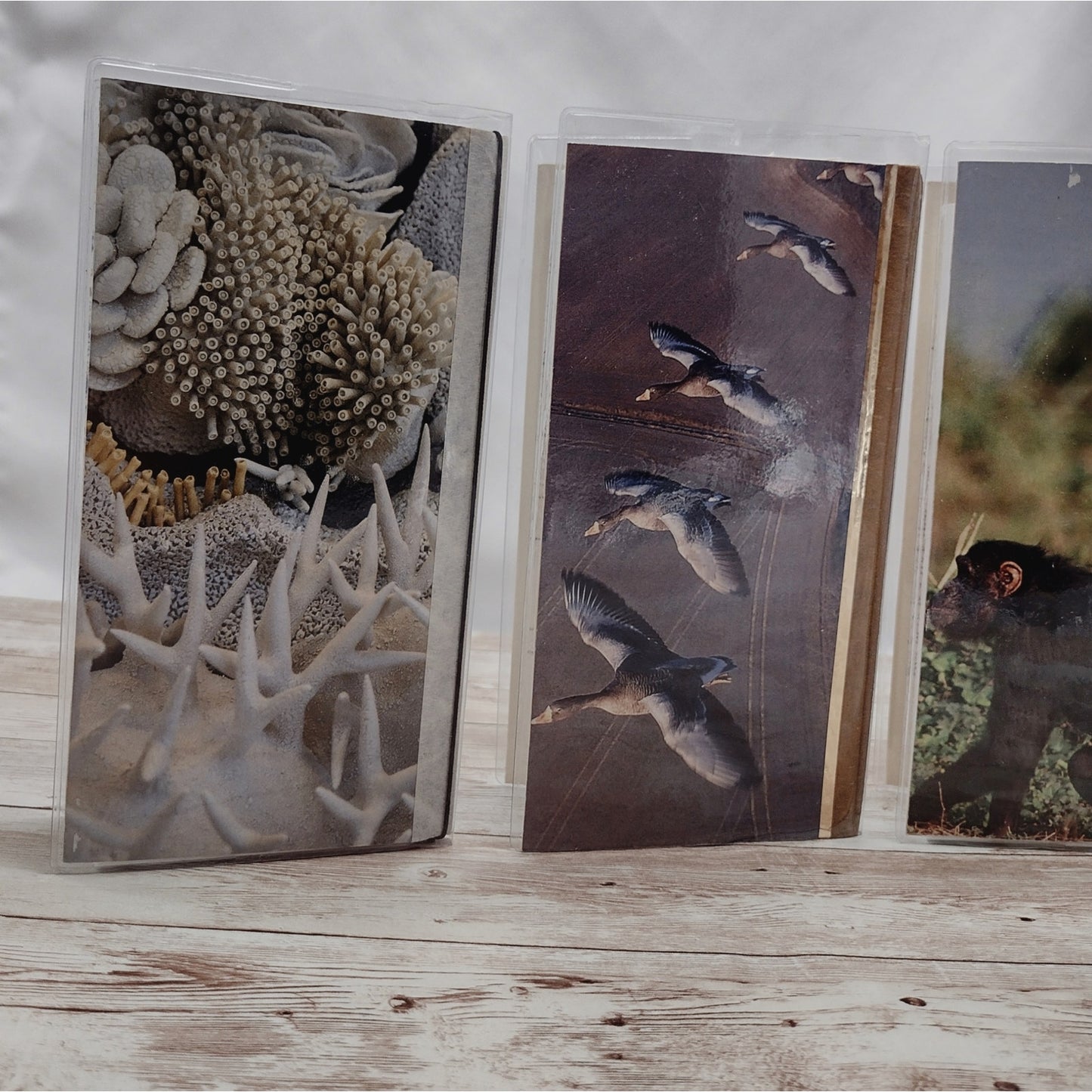 Animal Themed Small Travel Journals with Slip Covers, Handmade Small Notebook