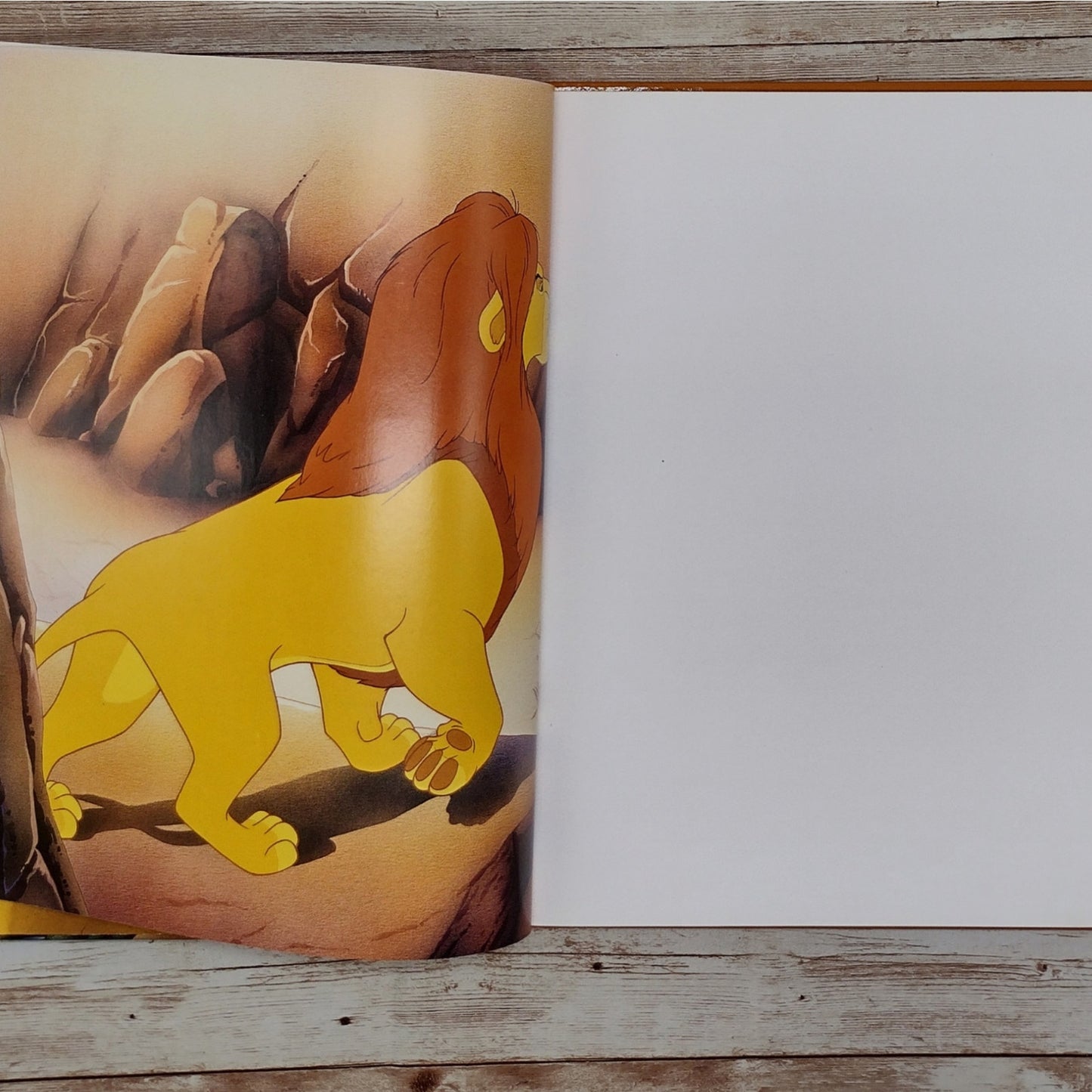 Lion King Altered Book Journal, Recycled Diary