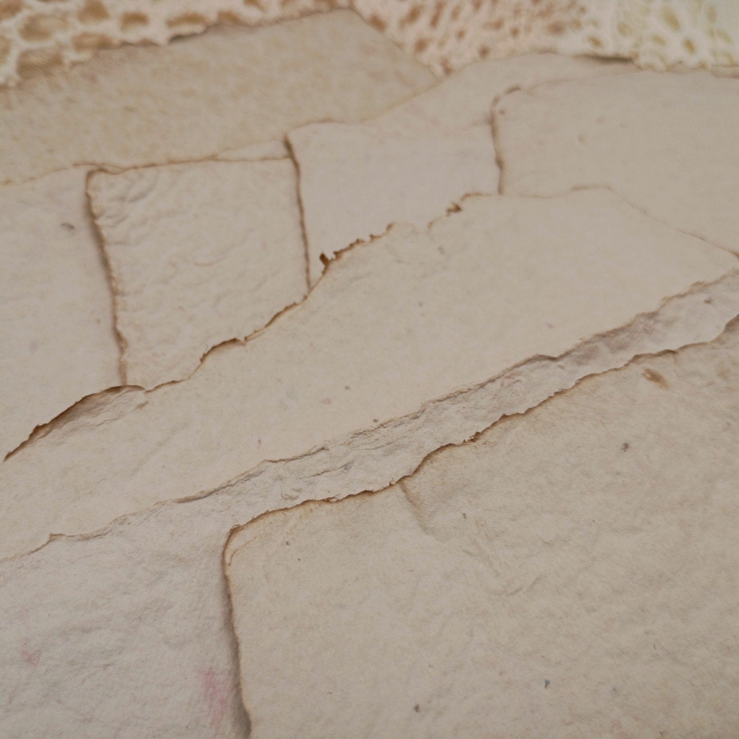 Heavy Weight Handmade Papers with Floral Inclusions, 10 Thick Sheets