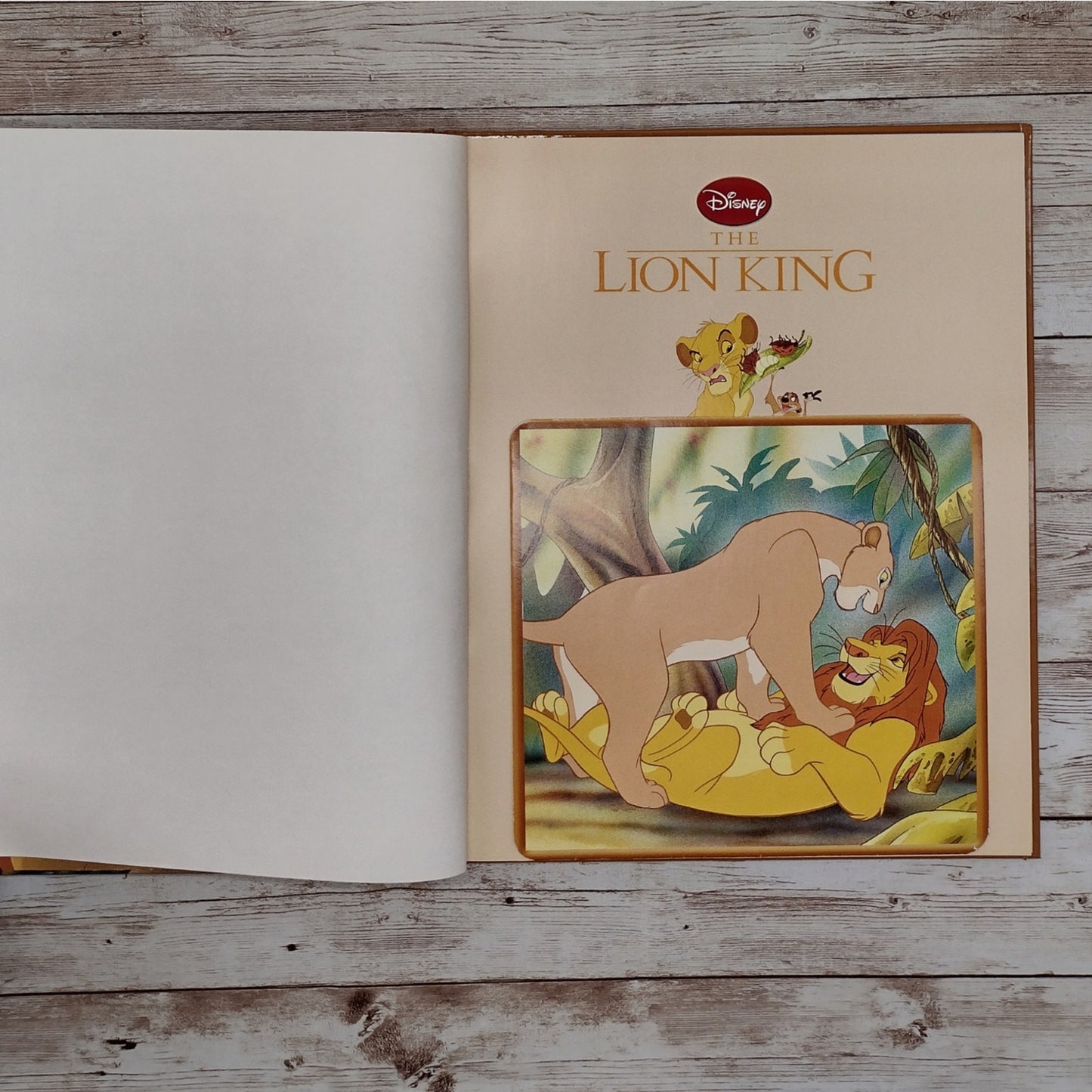 Lion King Altered Book Journal, Recycled Diary