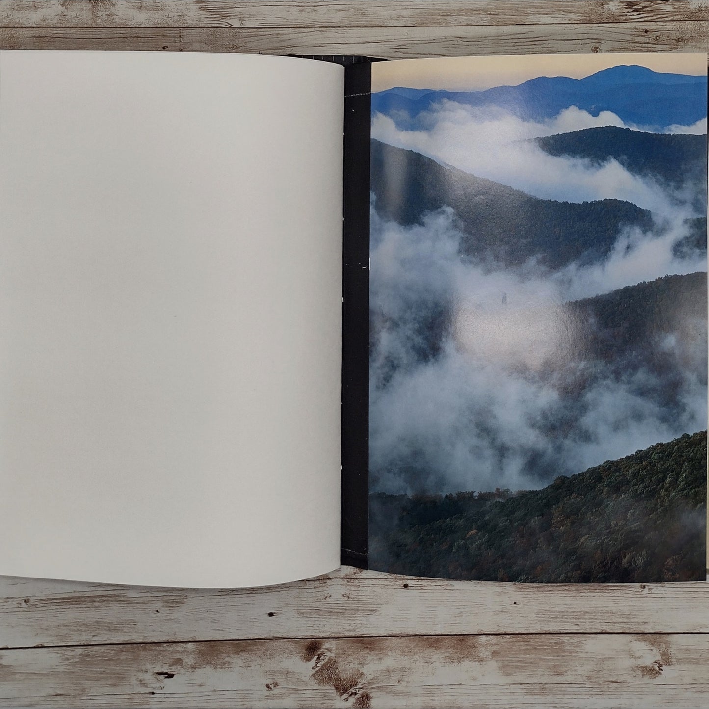 Book Journal: North Carolina Images of Wilderness