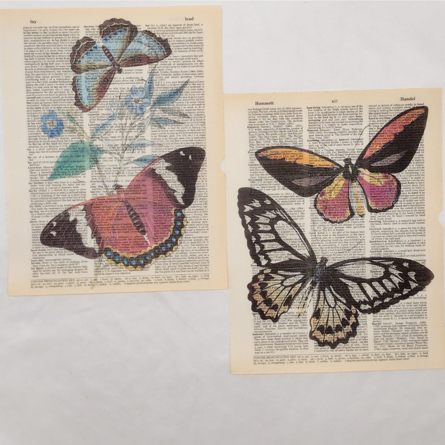 Butterfly Dictionary Prints 2, Colorful Butterfly Prints, Book Page Prints