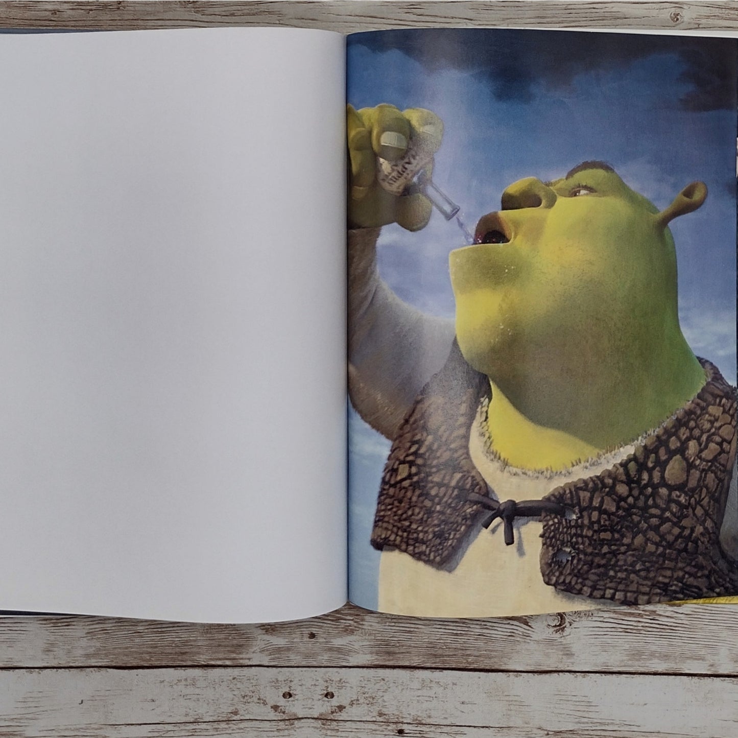 Shrek 2 Altered Book Journal, Recycled Diary