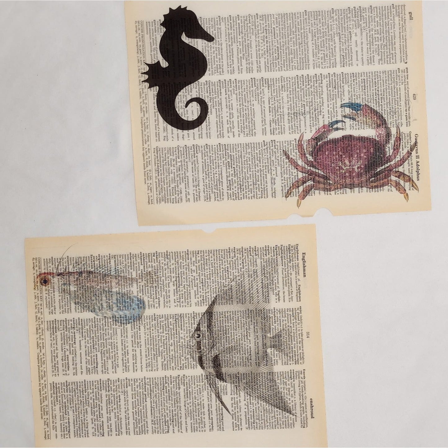 Sea Animal Dictionary Prints, Colorful Ocean Prints, Book Page Prints