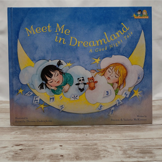 Dream Book, Altered Book Journal, Meet Me In Dreamland, Recycled Diary