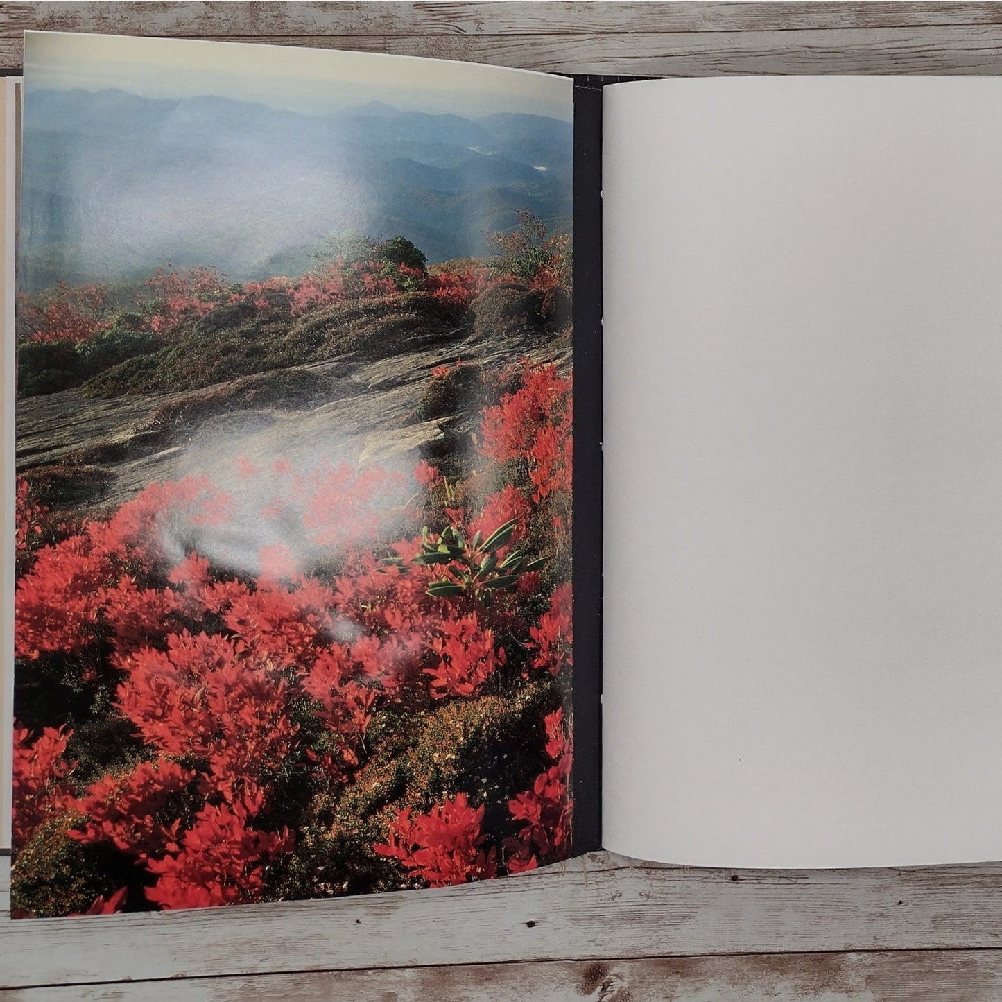 Book Journal: North Carolina Images of Wilderness