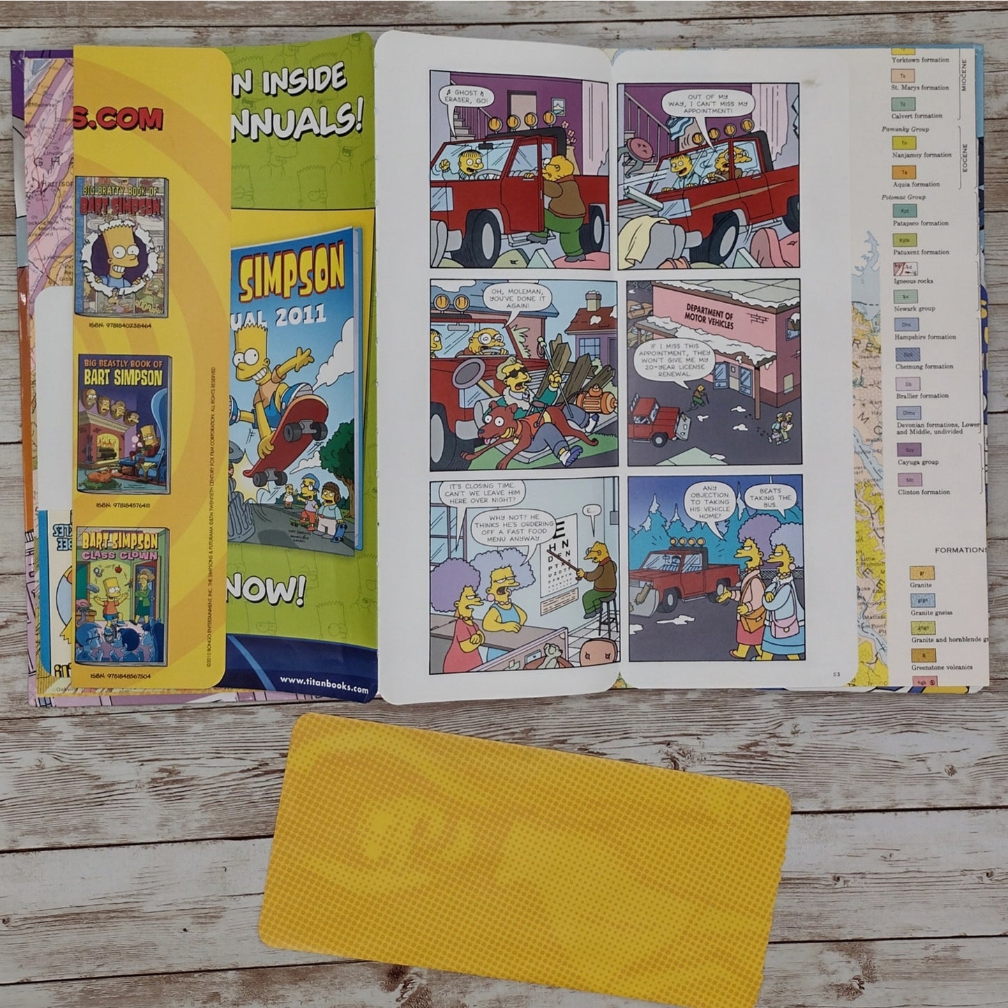 The Simpsons Altered Book Journal, Recycled Diary