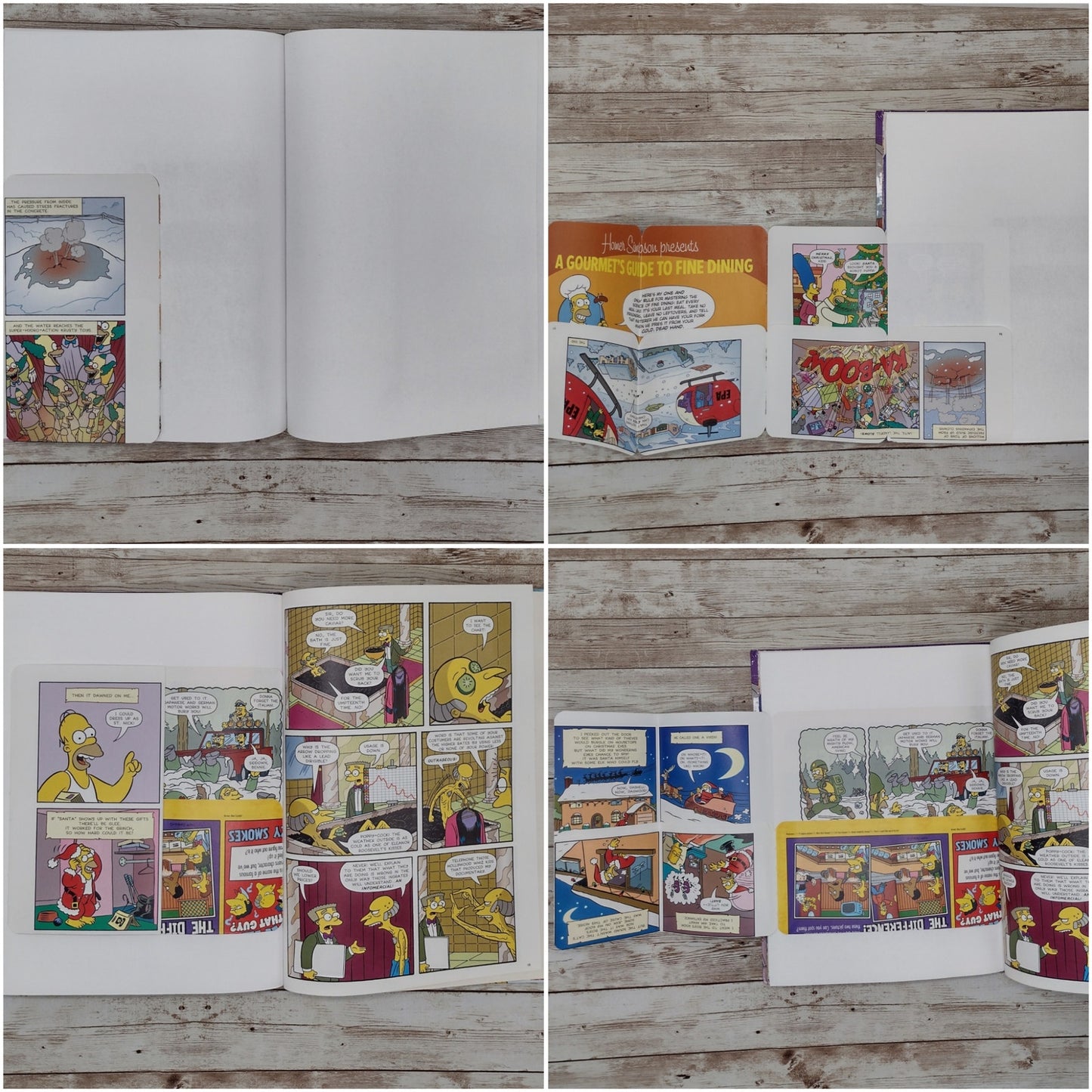 The Simpsons Altered Book Journal, Recycled Diary