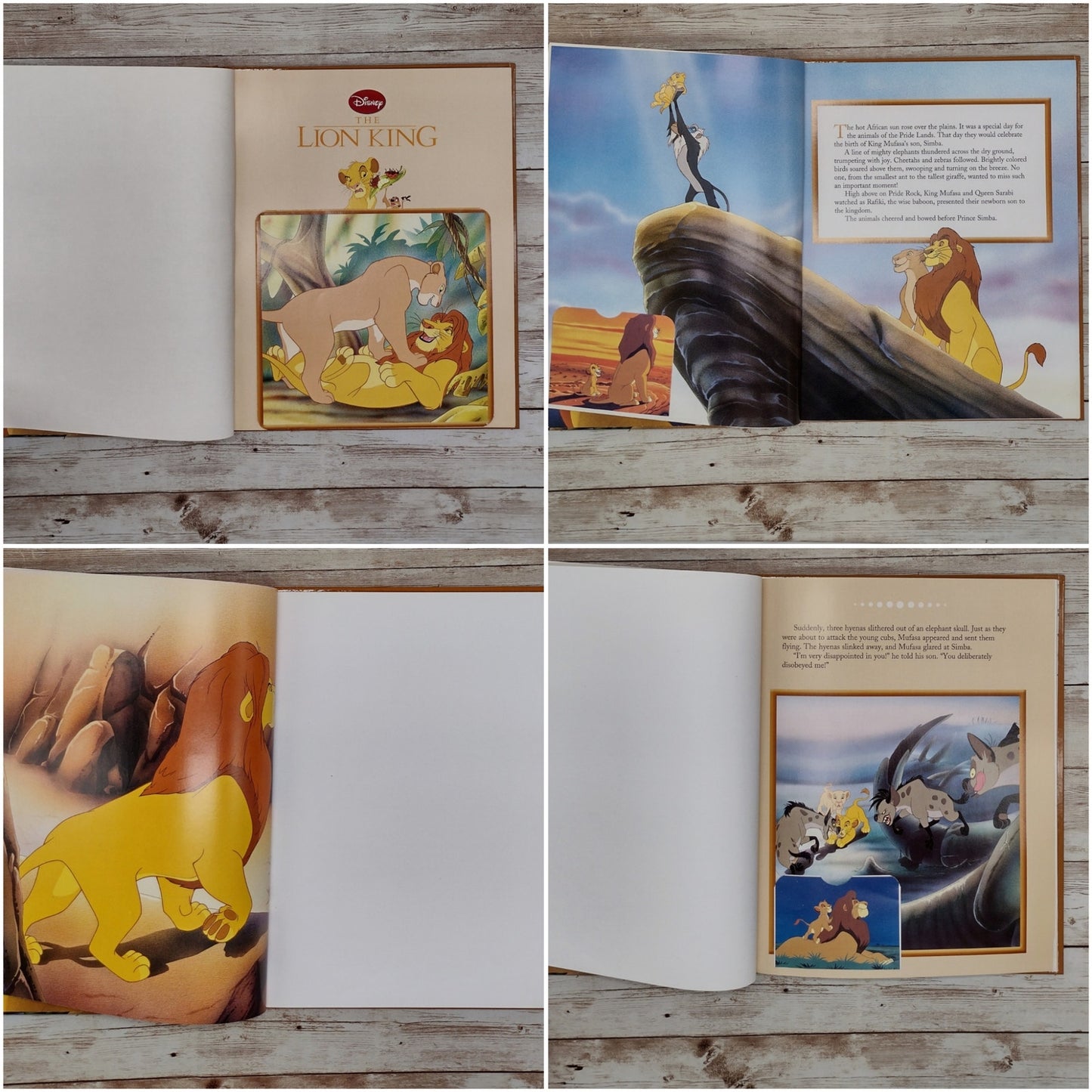 Lion King Altered Book Journal, Recycled Diary