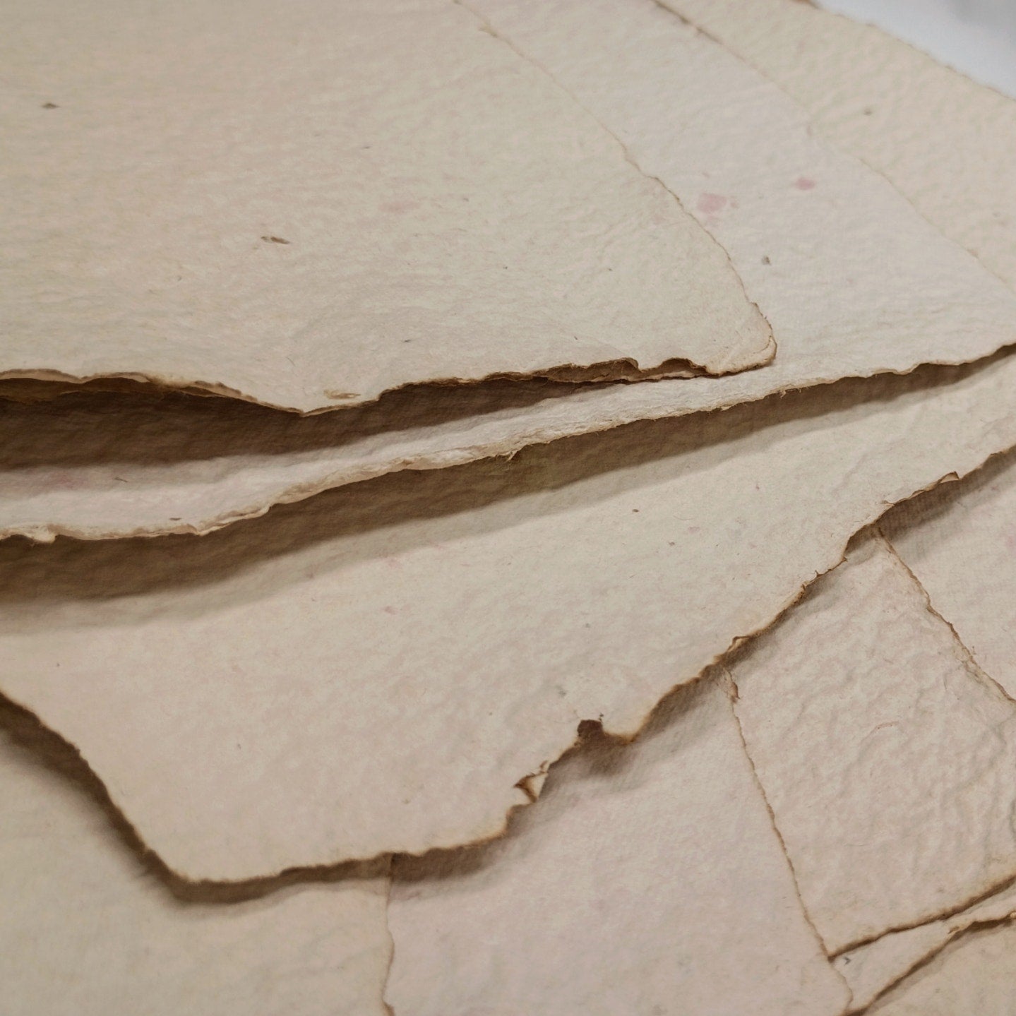 Heavy Weight Handmade Papers with Floral Inclusions, 10 Thick Sheets