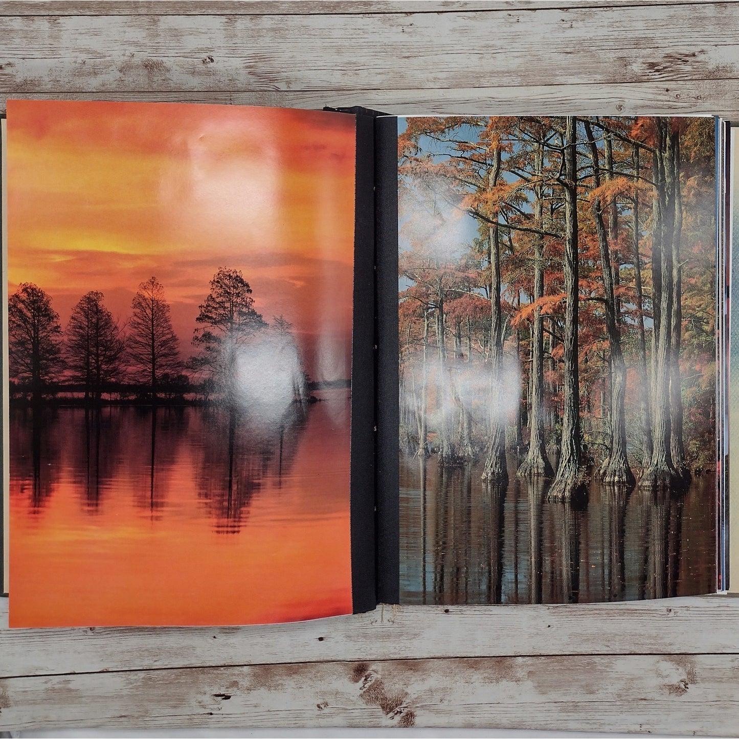 Book Journal: North Carolina Images of Wilderness