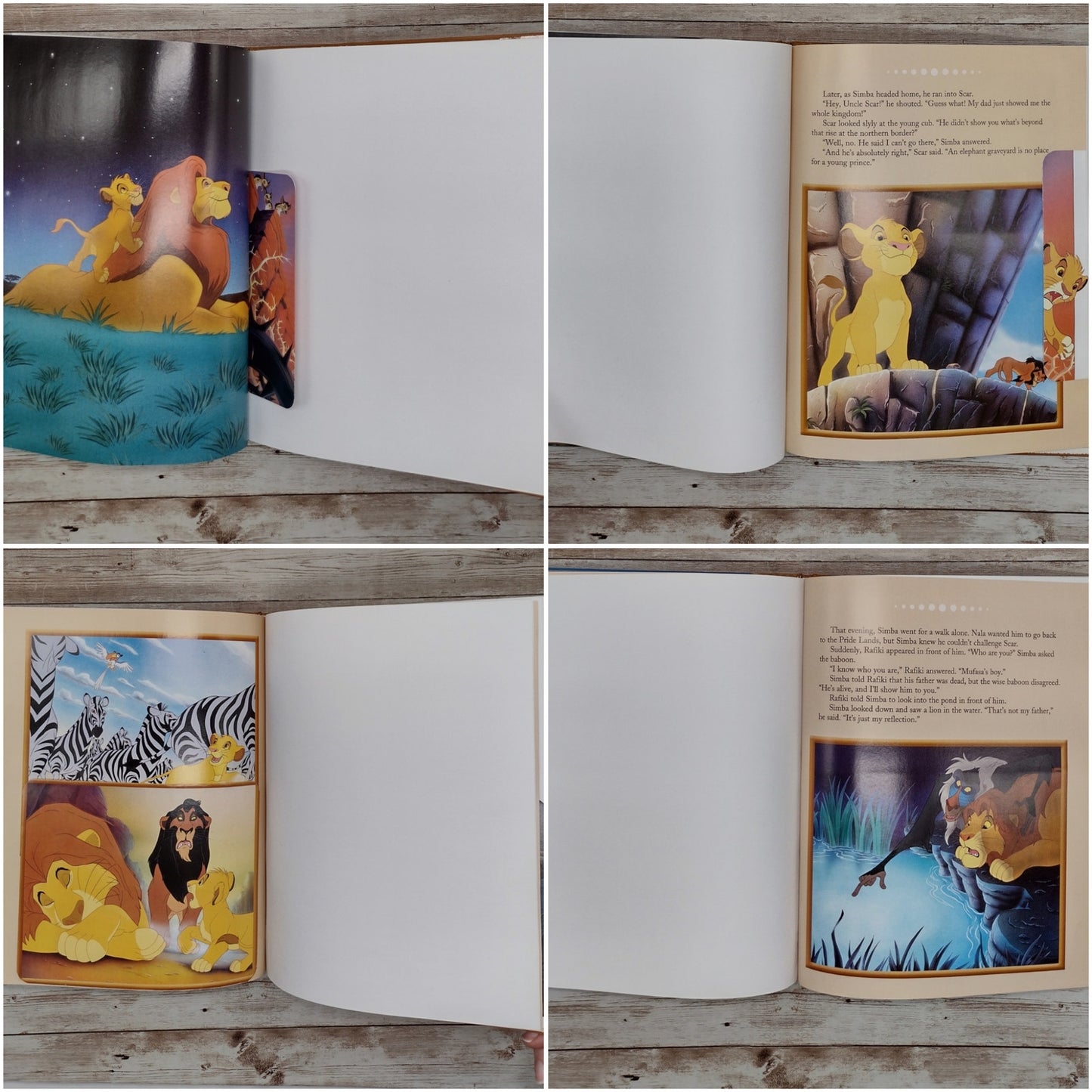 Lion King Altered Book Journal, Recycled Diary