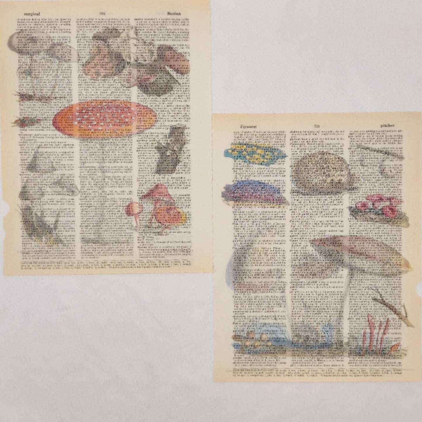 Mushroom Dictionary Prints 3, Colorful Mushroom Prints, Book Page Prints