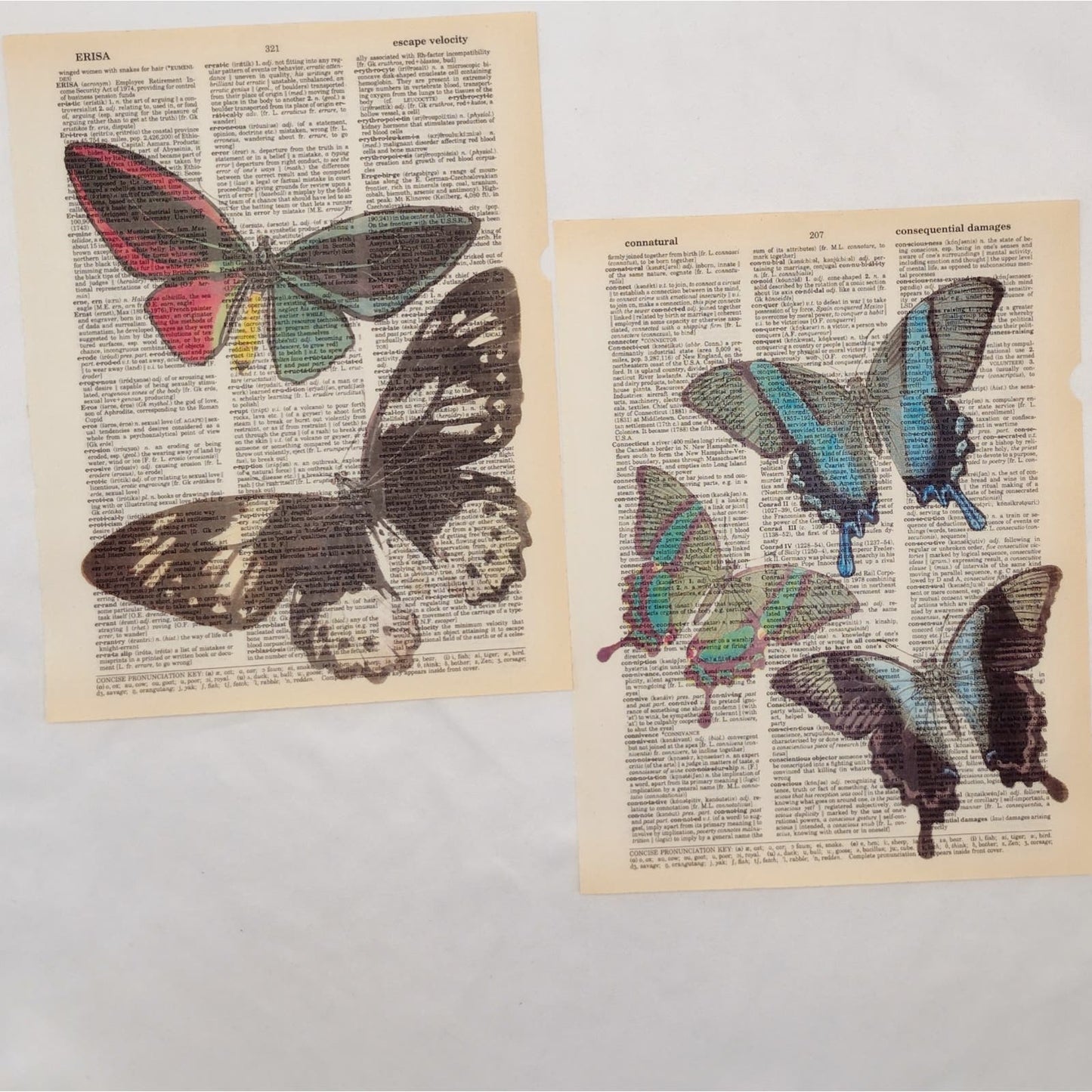 Butterfly Dictionary Prints 2, Colorful Butterfly Prints, Book Page Prints