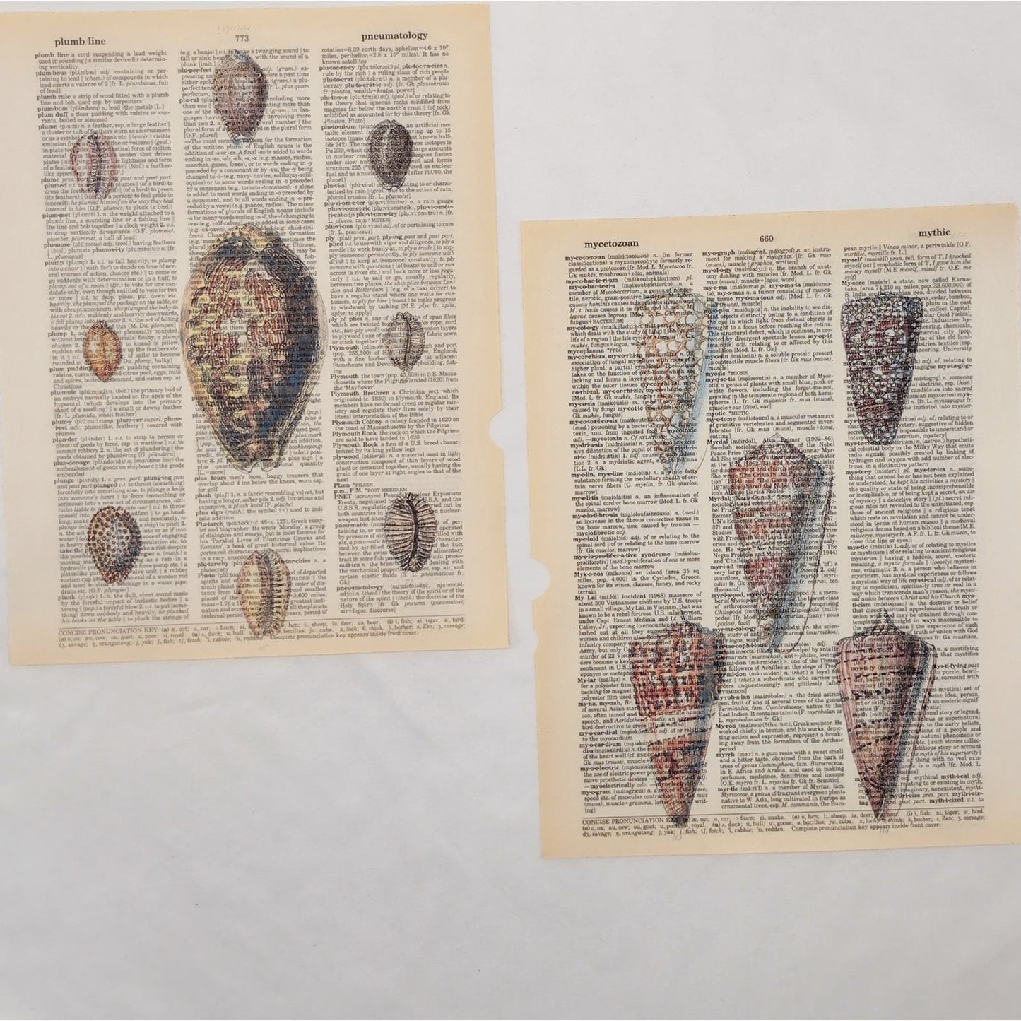Seashells and Squids Dictionary Prints, Colorful Sea Prints, Book Page Prints