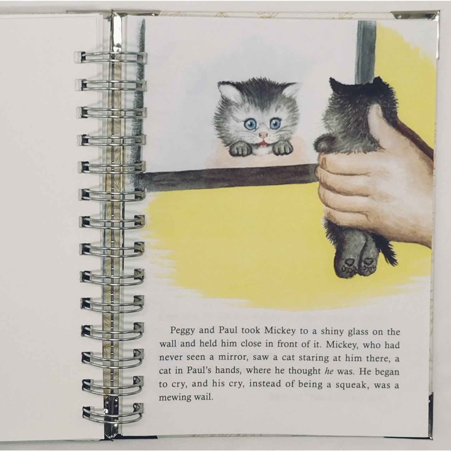 Recycled Spiral Notebook Diary, The Kitten Who Thought, Altered Book Journal