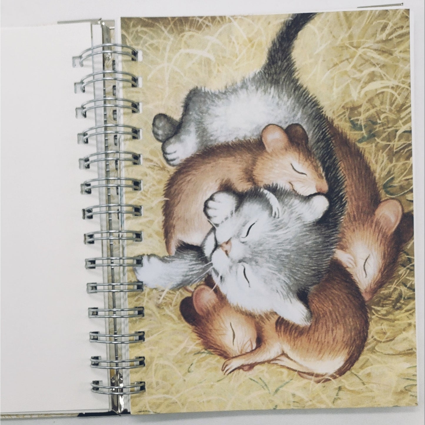 Recycled Spiral Notebook Diary, The Kitten Who Thought, Altered Book Journal