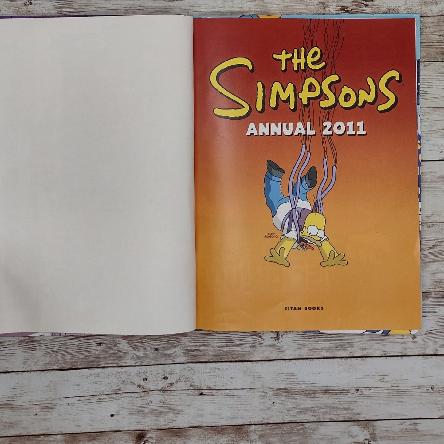 The Simpsons Altered Book Journal, Recycled Diary