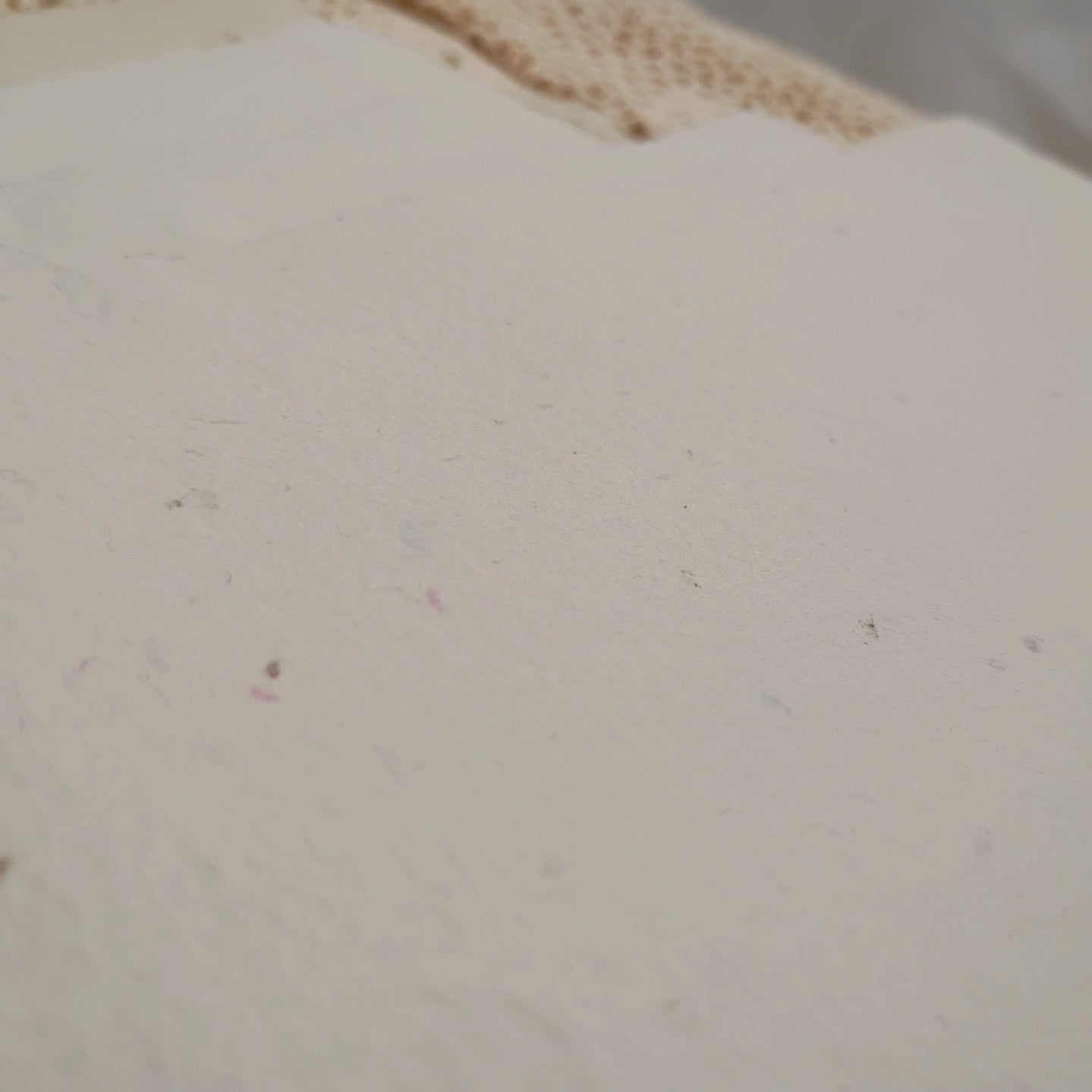 Handmade Papers with Floral Inclusions, 10 Lighter Weight Recycled Sheets
