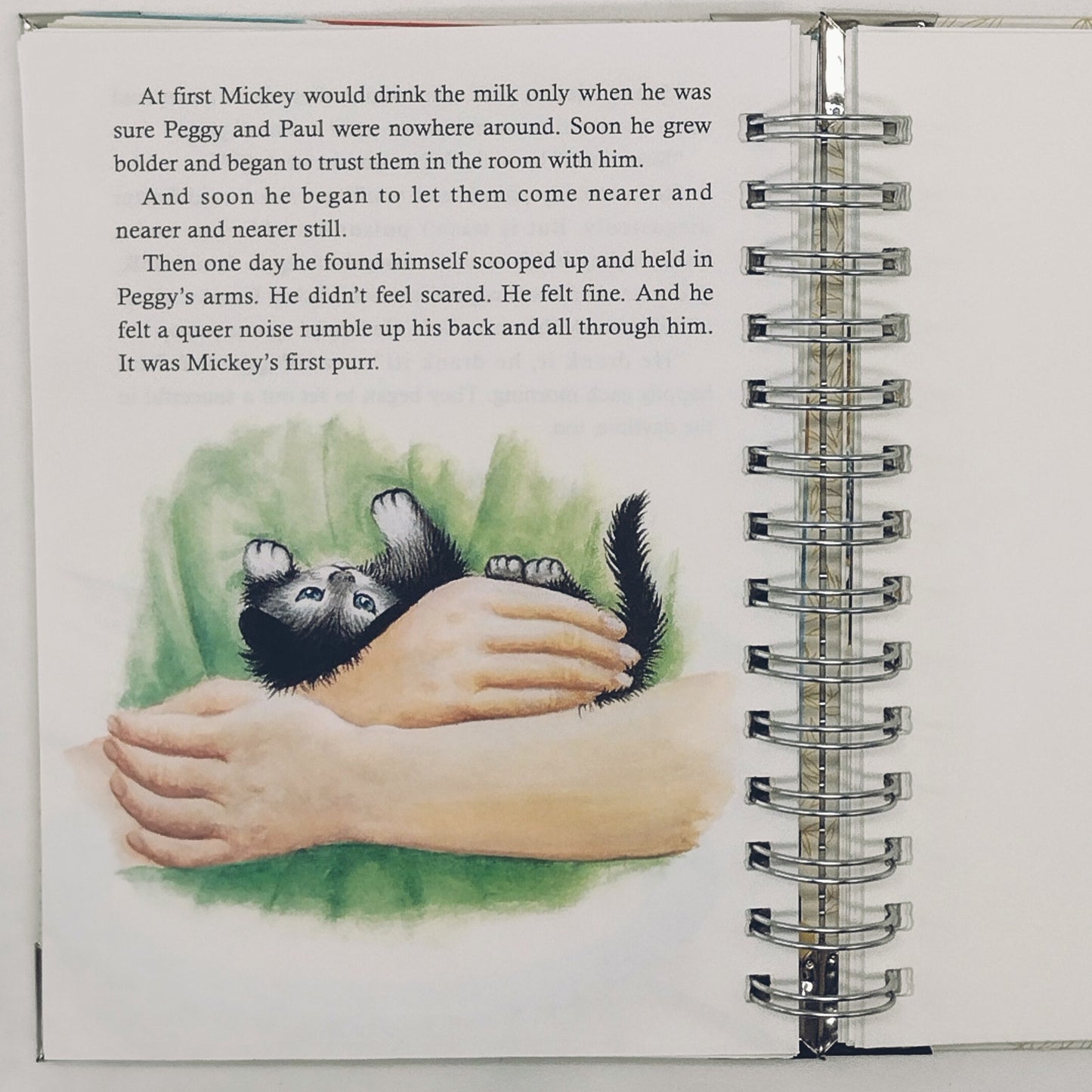Recycled Spiral Notebook Diary, The Kitten Who Thought, Altered Book Journal