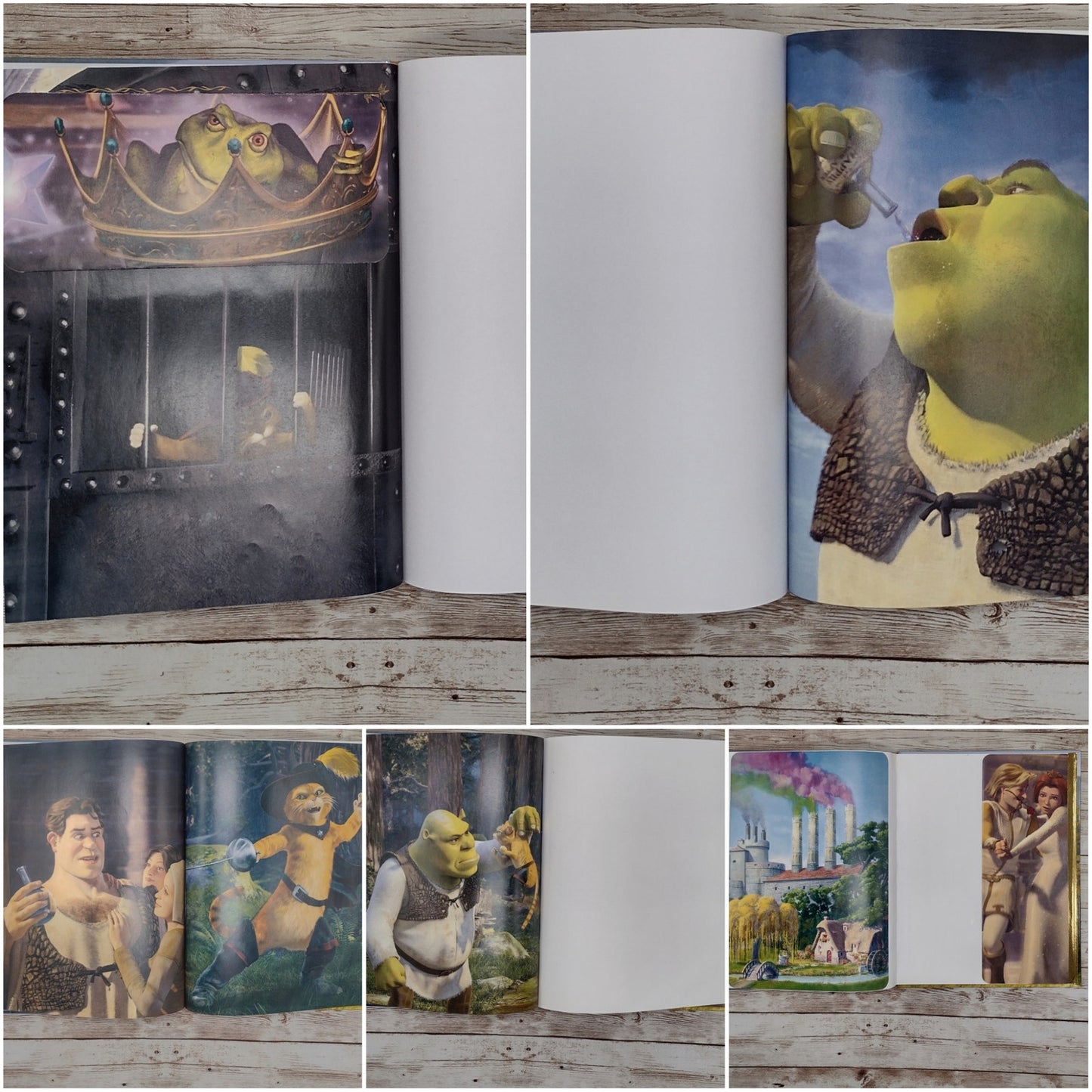 Shrek 2 Altered Book Journal, Recycled Diary