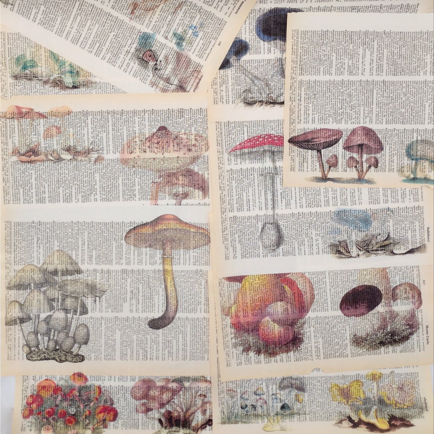 Mushroom Dictionary Prints, Colorful Mushroom Prints, Book Page Prints