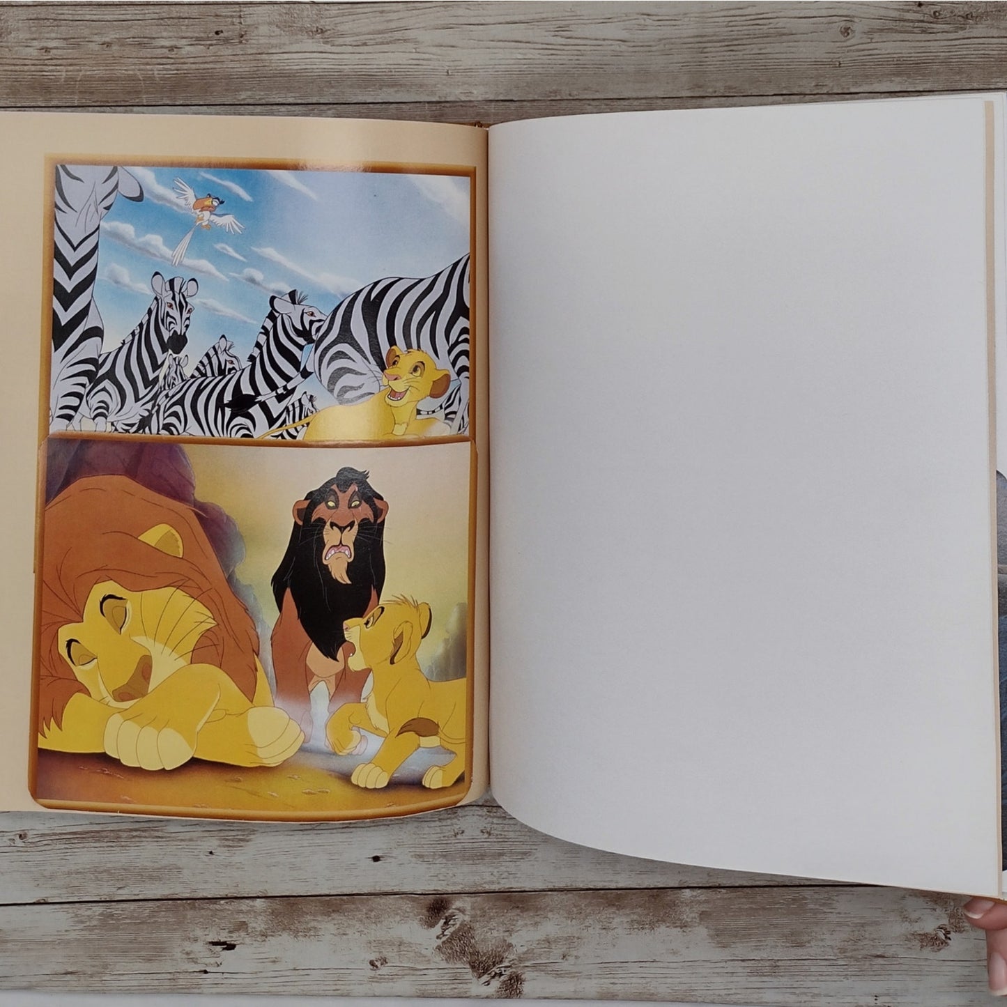 Lion King Altered Book Journal, Recycled Diary